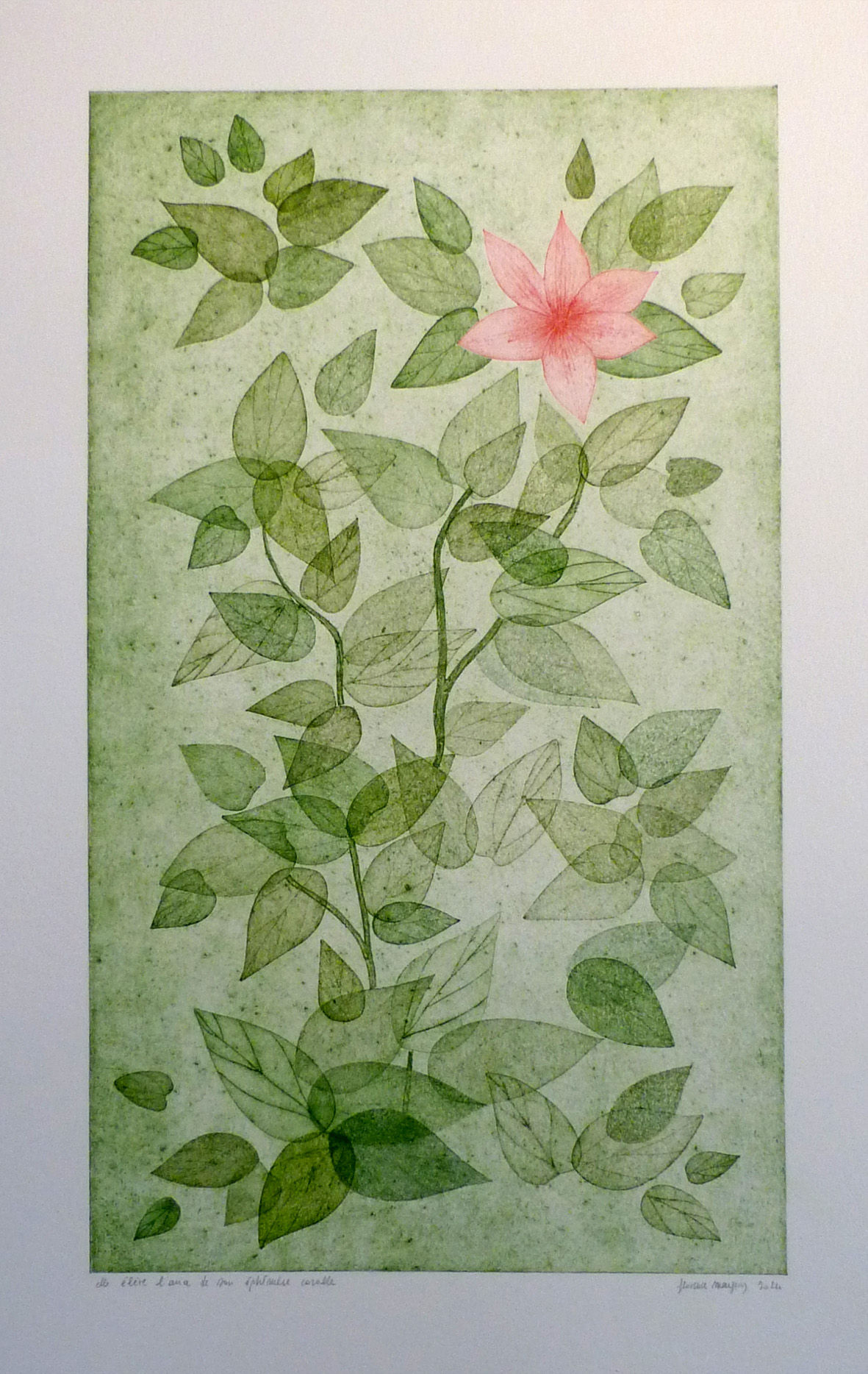 Elle élève l’aria de son éphémère corolle