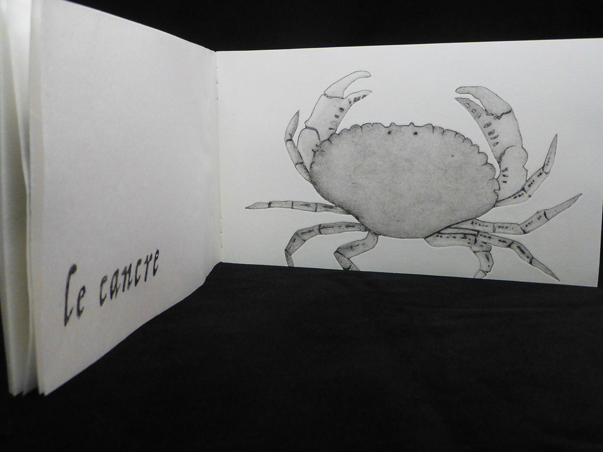 Livre d'artiste :"la nature et le pourtraict…"