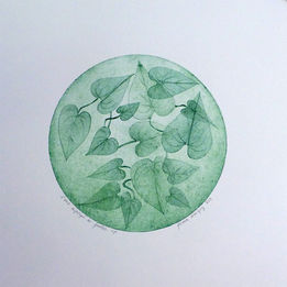 23.IPOMEES.02.jpg
