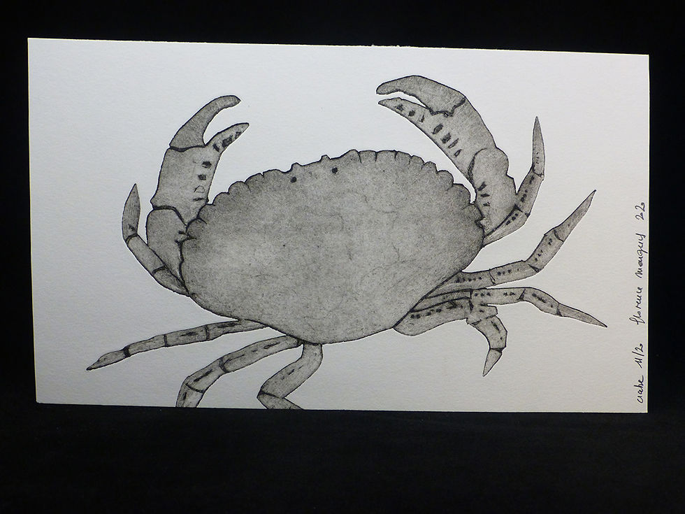 Miniature : Crabe