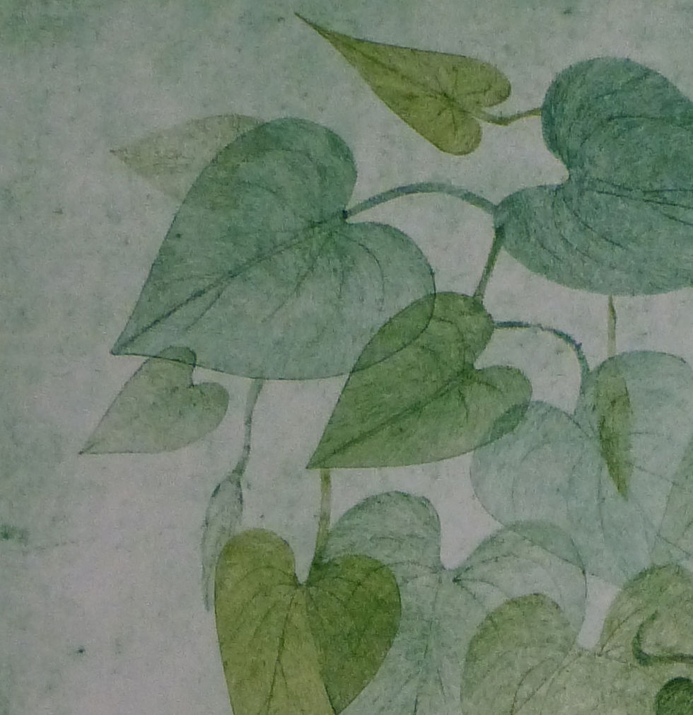 Miniature : Mille feuilles dégustant la lumière