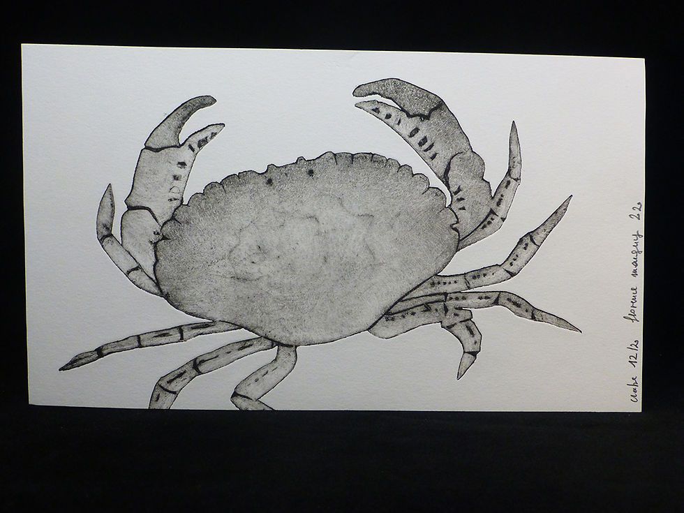 Miniature : Crabe
