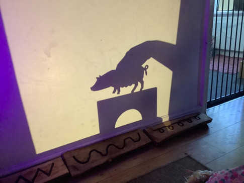 shadow puppet show