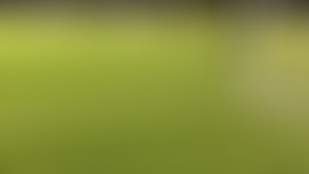 Erstes Training auf neuem Kunstrasen