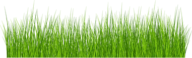 erba1.png