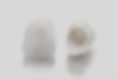 Close-up of two prosthetic teeth isolated on white background_edited.jpg