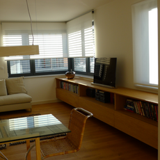 2.9 Horizontální knihovna z lakované dýhy.png