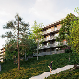 Příroda mezi domu v obytné čtvrti Pískovna Beroun