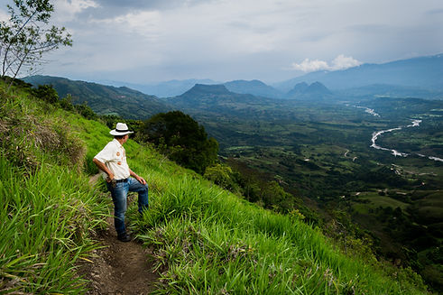 man-hat-is-standing-dirt-path-valley.jpg