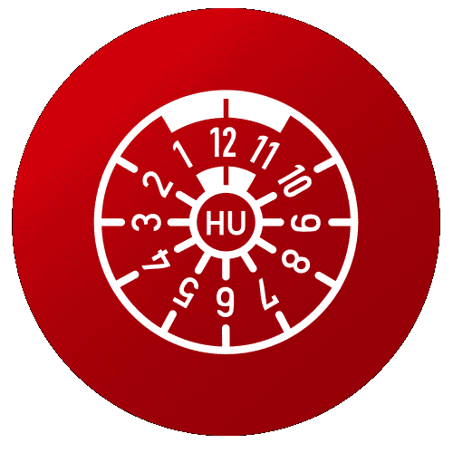 Icon Hauptuntersuchung