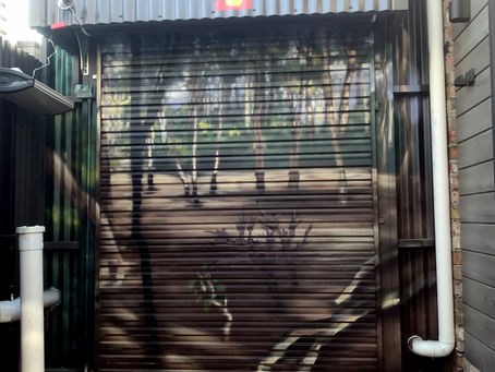 Paul's Roller Door