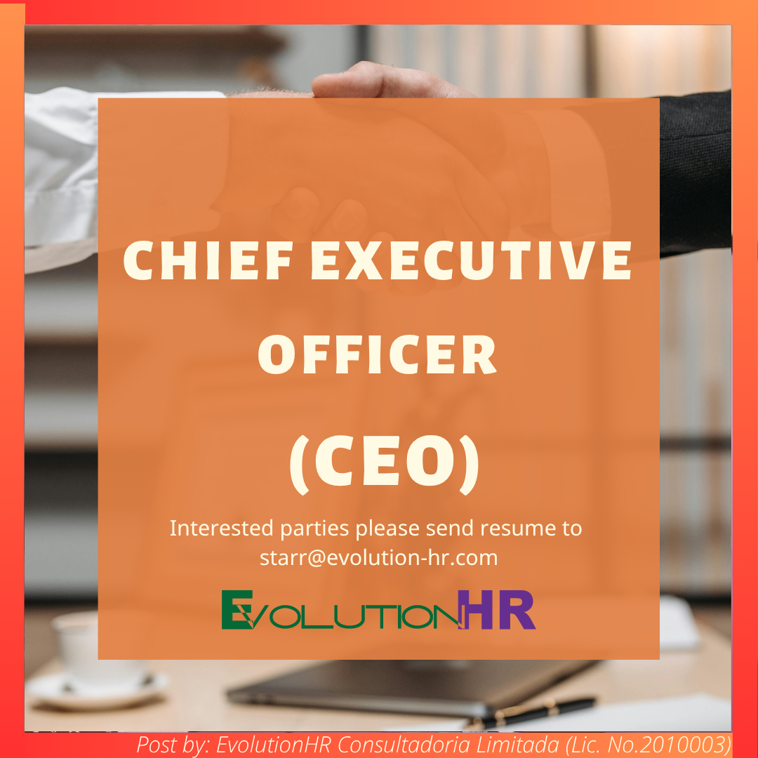 Chief Executive Officer (CEO)