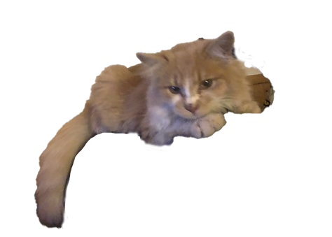 Another satisfied customer