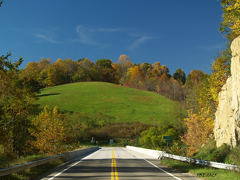 PA121949 (2).png