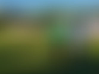 Der absolute Renner am Wasserturm