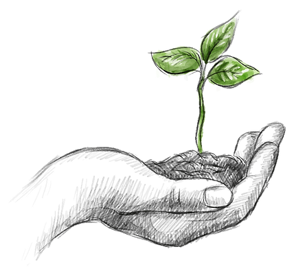 Illustrationmain
