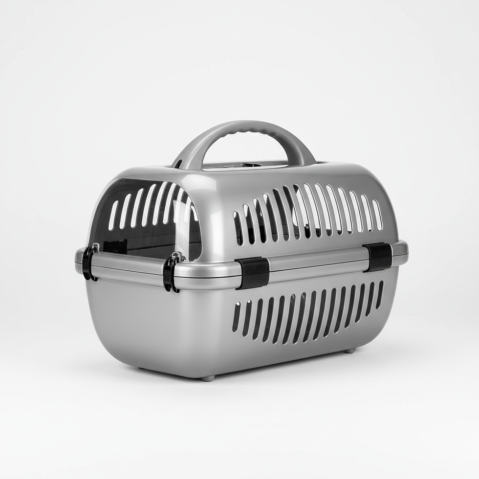 Hard Shell Pet Carrier