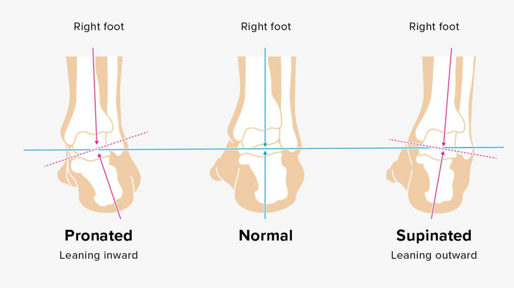 nike pronation guide