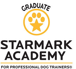 Starmark Academy logo all V-grad.jpg