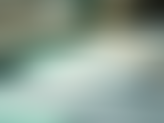 Maximize Your Renovation Budget with Grant Consulting Services