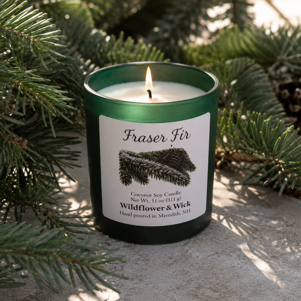 Fraser Fir