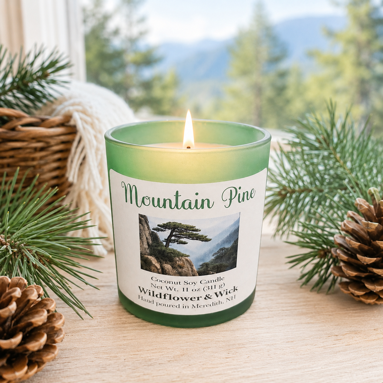 Mountain Pine