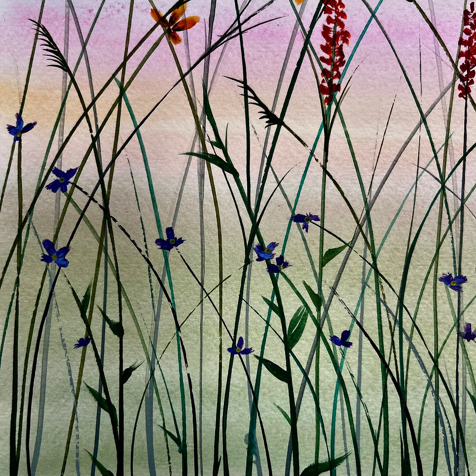 Thumbnail: Salt Meadow Bloom 