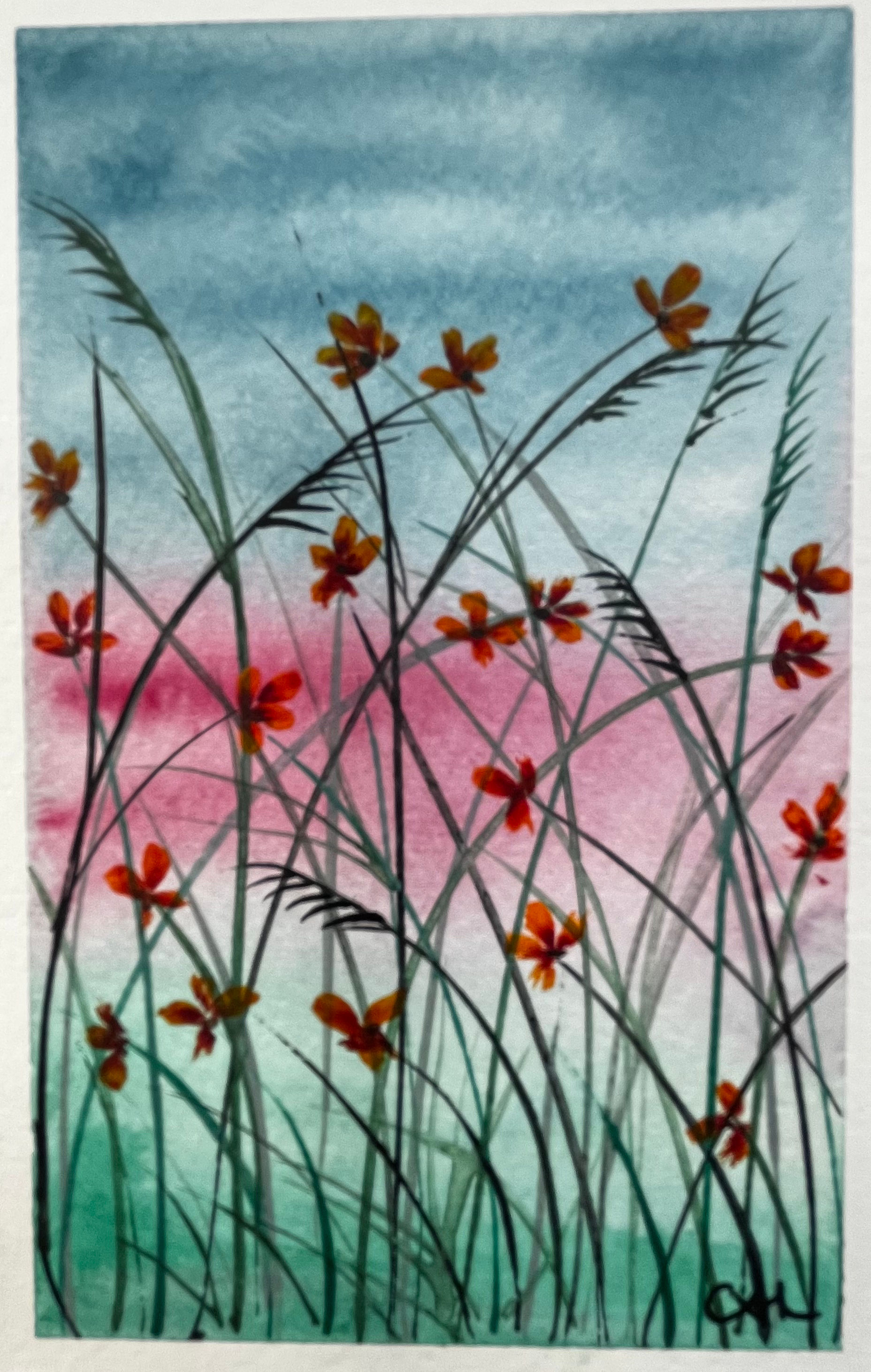 Wild Flowers At First Light