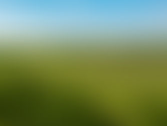 Boosting Your Ranch's Value: Practical Tips for Improving Ranch Property Value