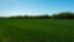 DJI_0829.jpg