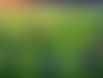 Partner with Day II Day Foundation: Transforming Lives Through Sports