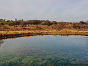 Selling Your Ranch in Texas: Actionable Tips From Our 25+ Years of Experience