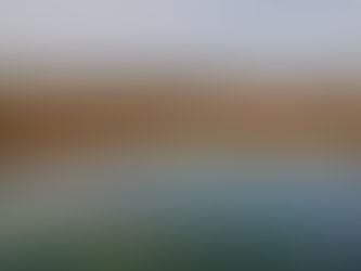 Selling Your Ranch in Texas: Actionable Tips From Our 25+ Years of Experience