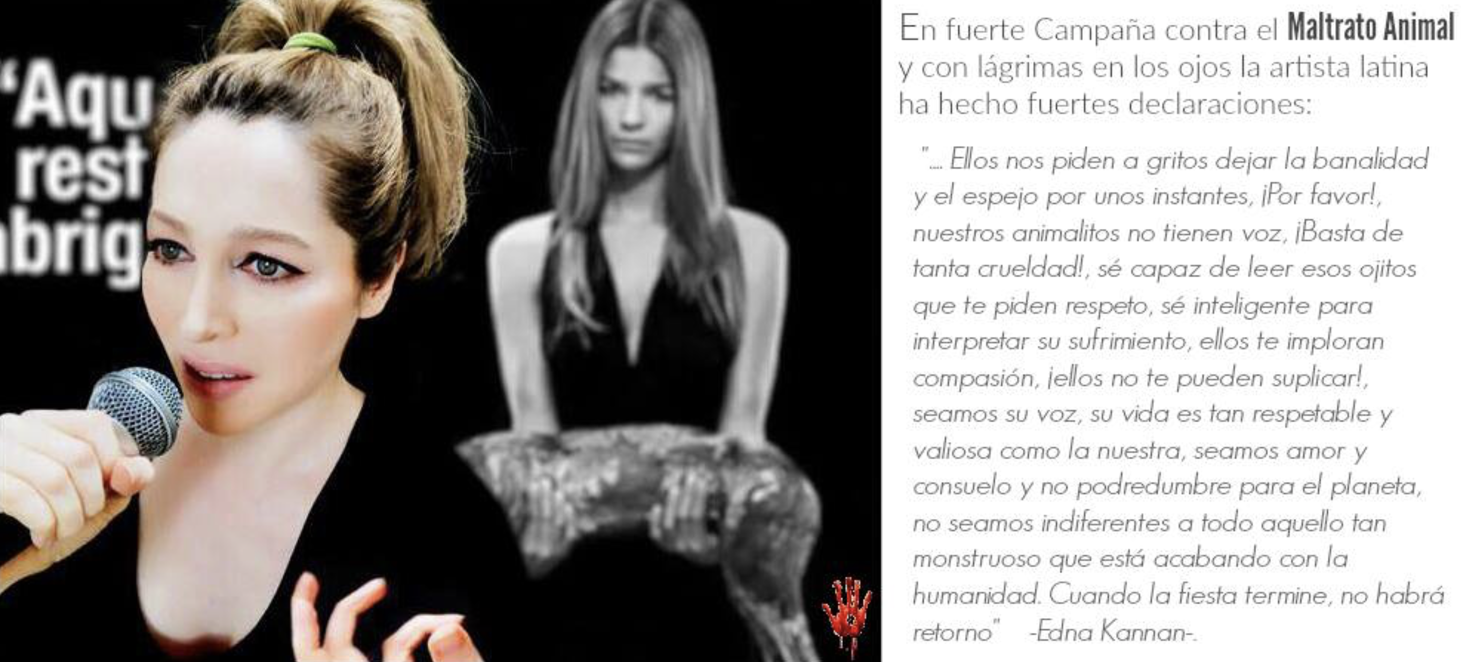 Campaña contra el Maltrato Animal