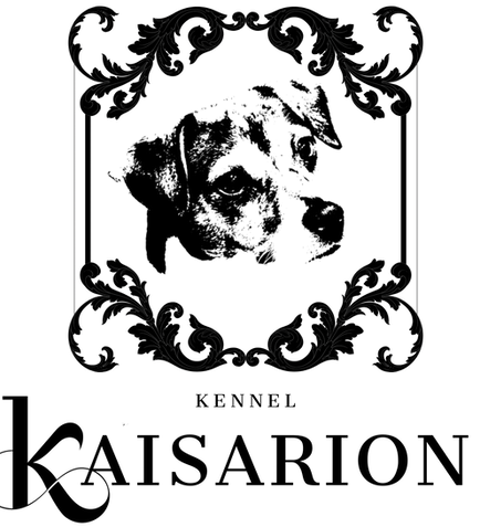 Kopi av Blue Decorative Luxury Round Ornamental Logo.PNG