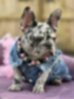 aa902df8-1fbb-452b-85c1-93041209f394