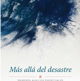Más allá del desastre