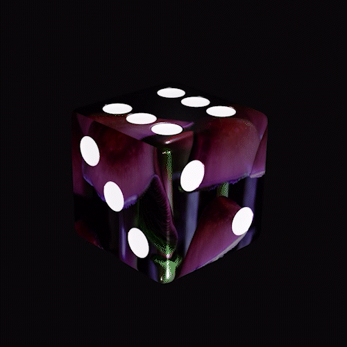SolDice #196.gif