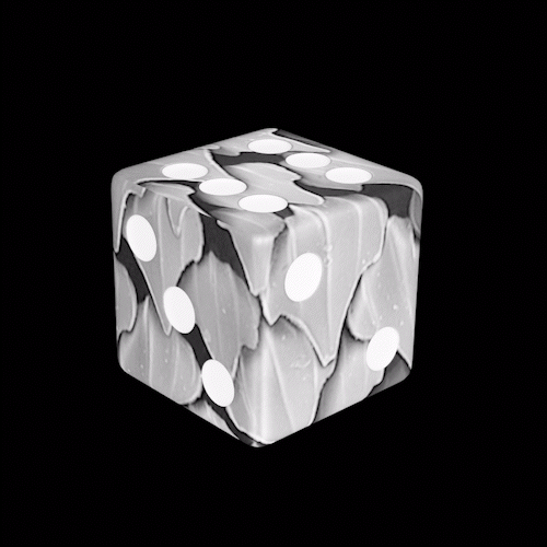 SolDice #159.gif