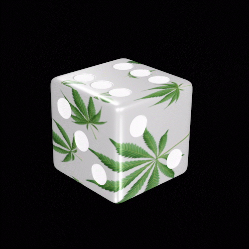 SolDice #093.gif