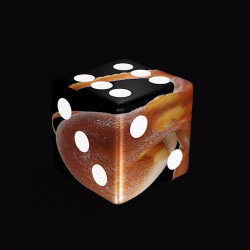 SolDice #108.gif