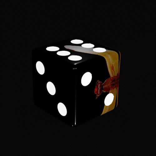 SolDice #181.gif