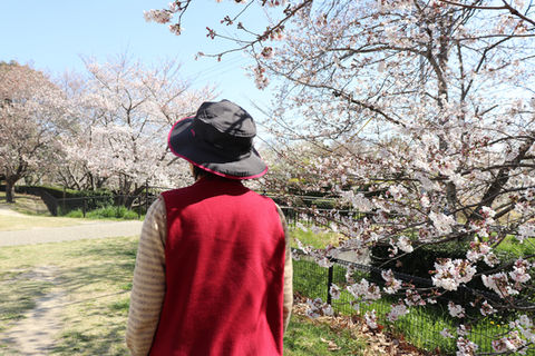 インクオリア　花見　