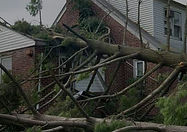 01_storm_cleanup_edited.jpg