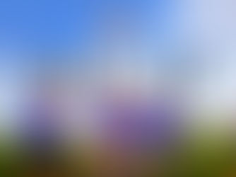 High-Energy Summer Soccer Delivered at the EDP Fall Kickoff NJ