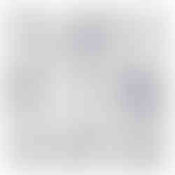 Blizten in All His Glory 