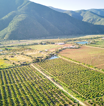 Campo La Cabra Murasso