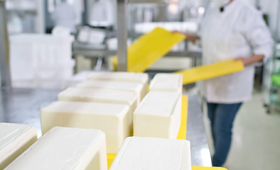 Proceso Producción Quesos de Cabra