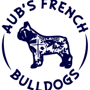 Aub’s-French-Bulldogs.PNG