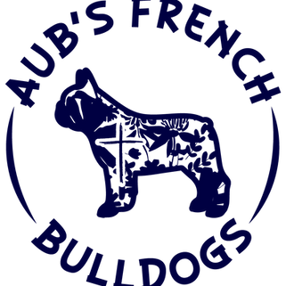 Aub’s-French-Bulldogs.PNG